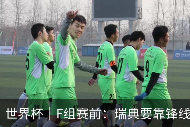 世界杯｜F组赛前：瑞典要靠锋线双星 突尼斯欲出线